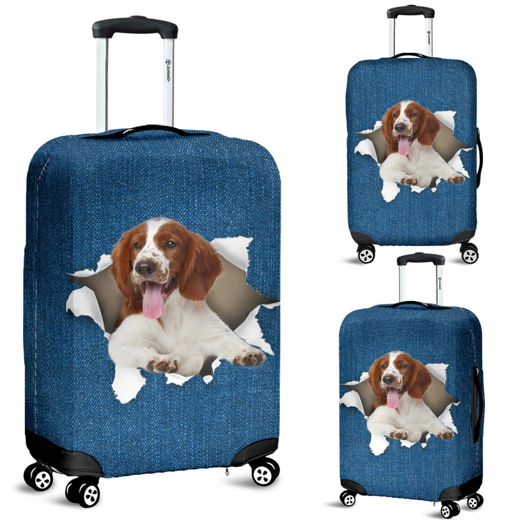 Welsh Springer Spaniel| Baggage