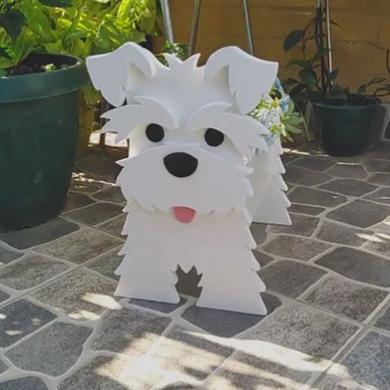 Witte Schnauzer Planter