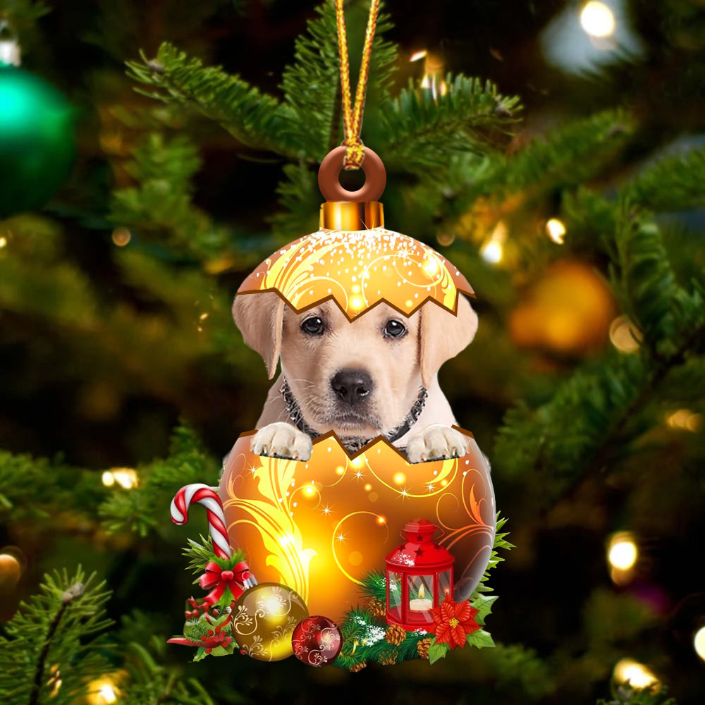 Goldador Labrador In Kerst Gouden Ei Ornament