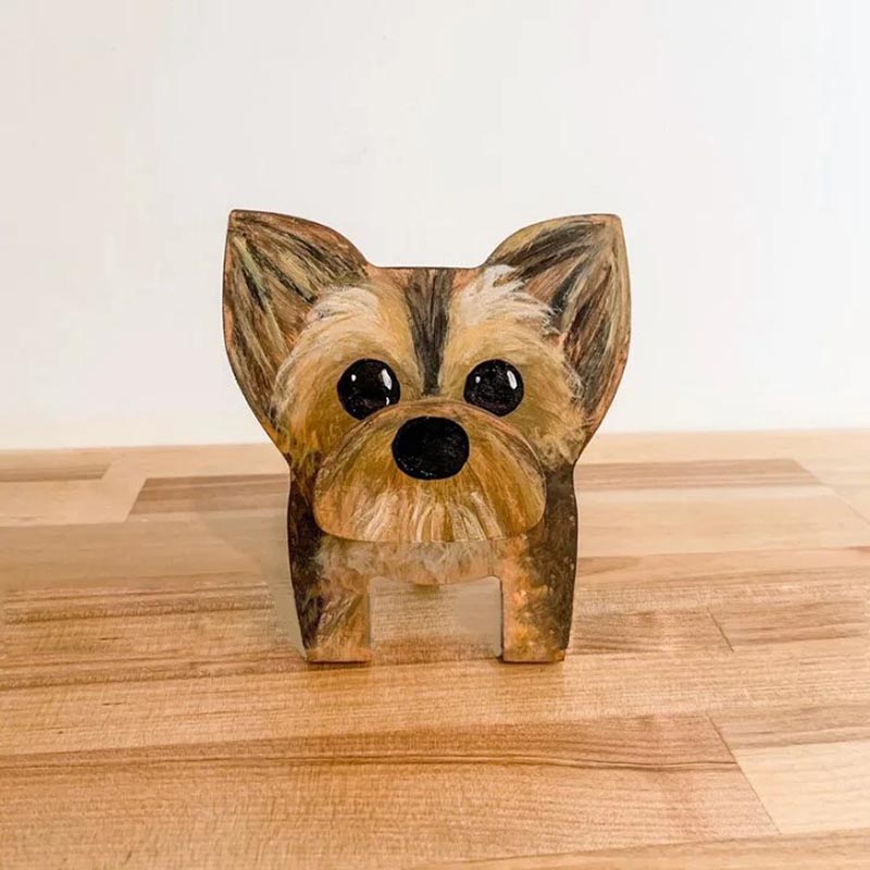 Schattige Dieren Brilstandaard Lovely Yorkie