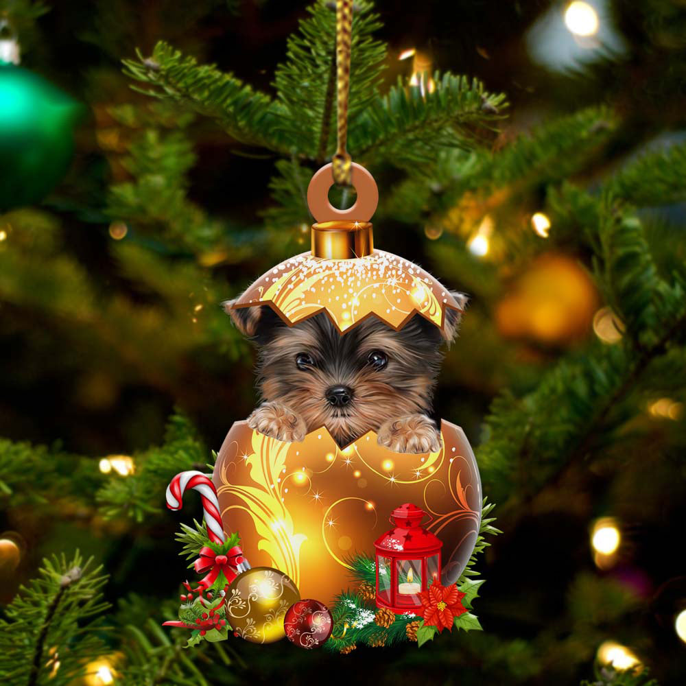 Yorkshire Terrier In Kerst Gouden Ei Ornament