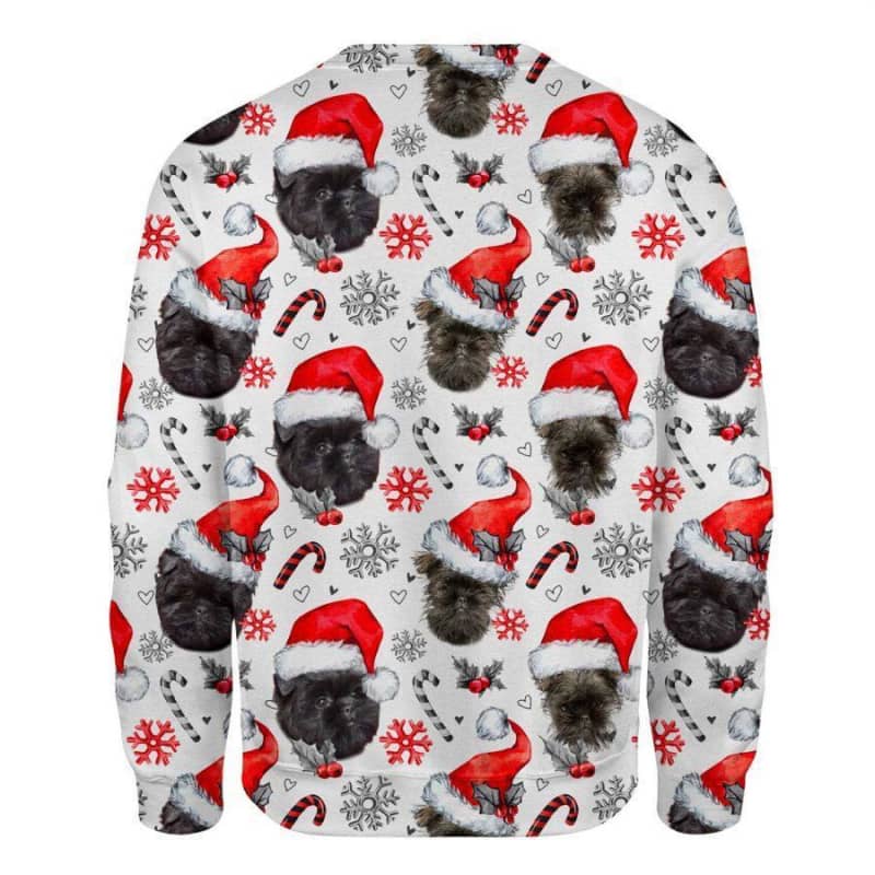 Affenpinscher - Honden Kerst Trui