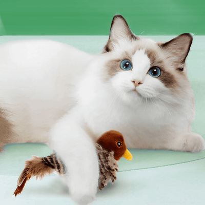 Purrfect Paws | Realistisch Katten Speelgoed | 1+1 GRATIS!