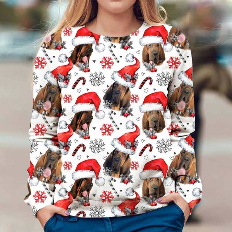 Bloodhound - Honden Kerst Trui