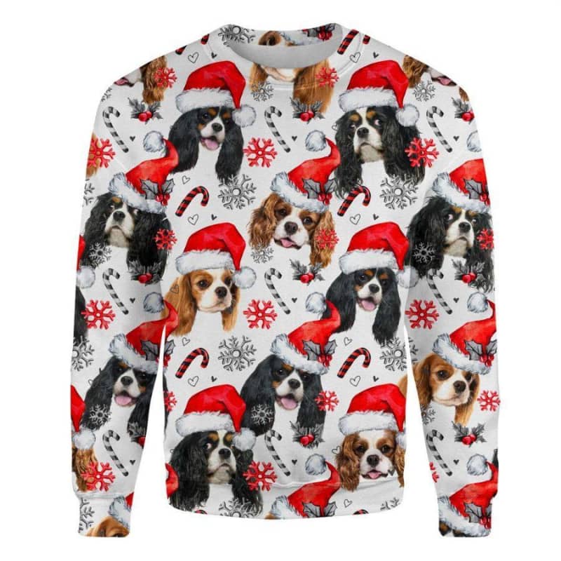 Cavalier King Charles Spaniel - Honden Kerst Trui