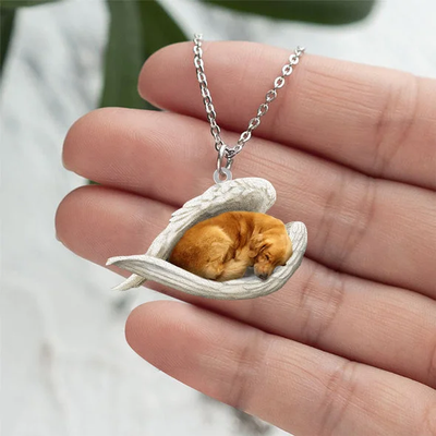 Echte Liefde | Slapende Nova Scotia duck tolling retriever Ketting