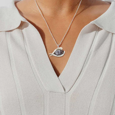 Le véritable amour | Collier de pointeur allemand endormi à poil court