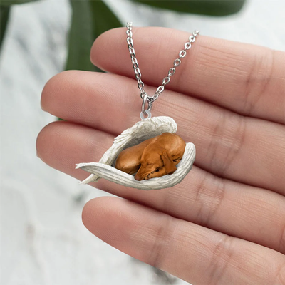 Echte Liefde | Slapende Vizsla Hond Ketting