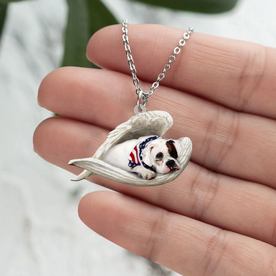 Echte Liefde | Slapende Amerikaanse Bulldog Ketting