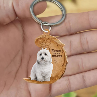 Coton de tulear | Voor Altijd in Mijn Hart