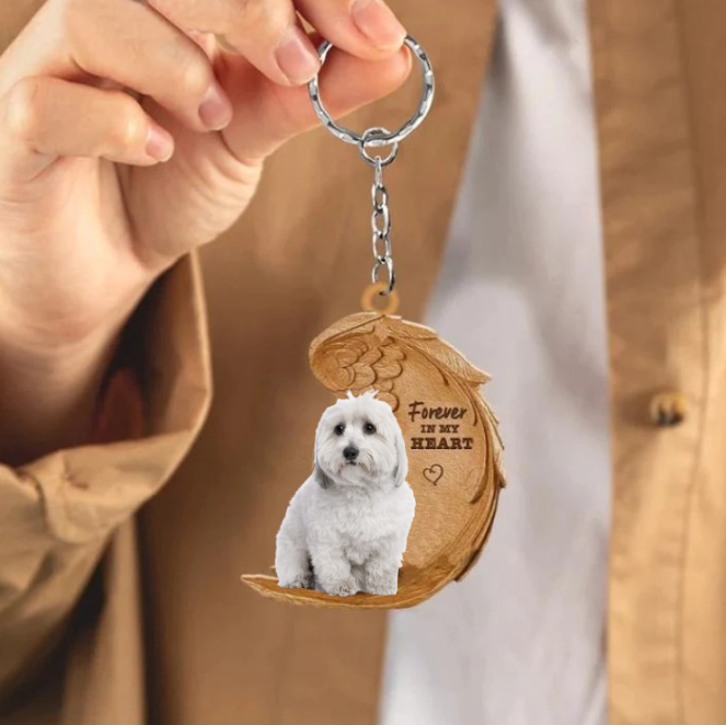 Coton de tulear | Voor Altijd in Mijn Hart