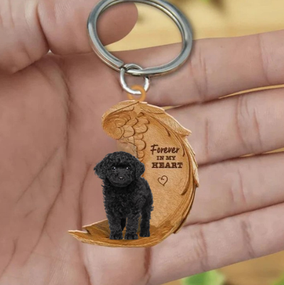 Zwarte Toy Poodle 2 | Voor Altijd in Mijn Hart