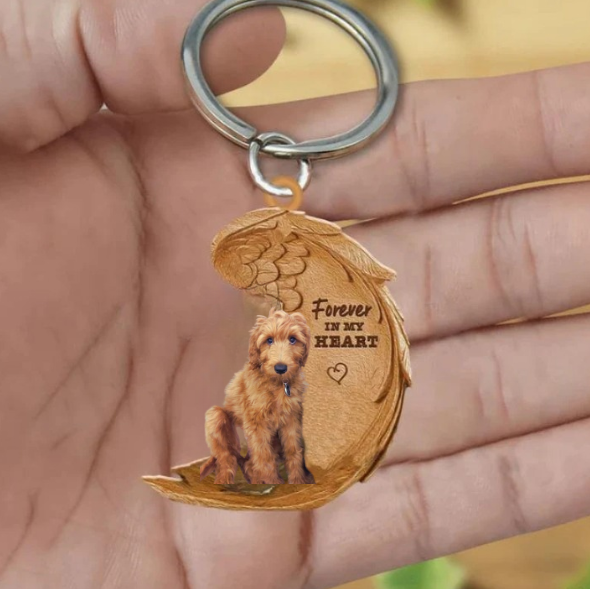 Irish terrier | Voor Altijd in Mijn Hart