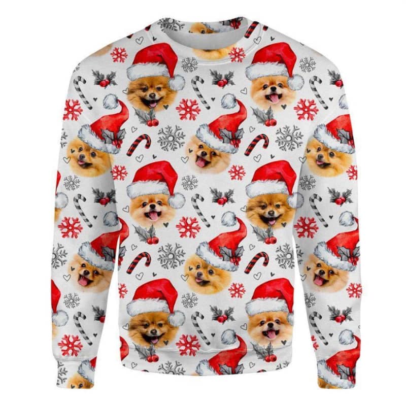 Pomeranian - Honden Kerst Trui