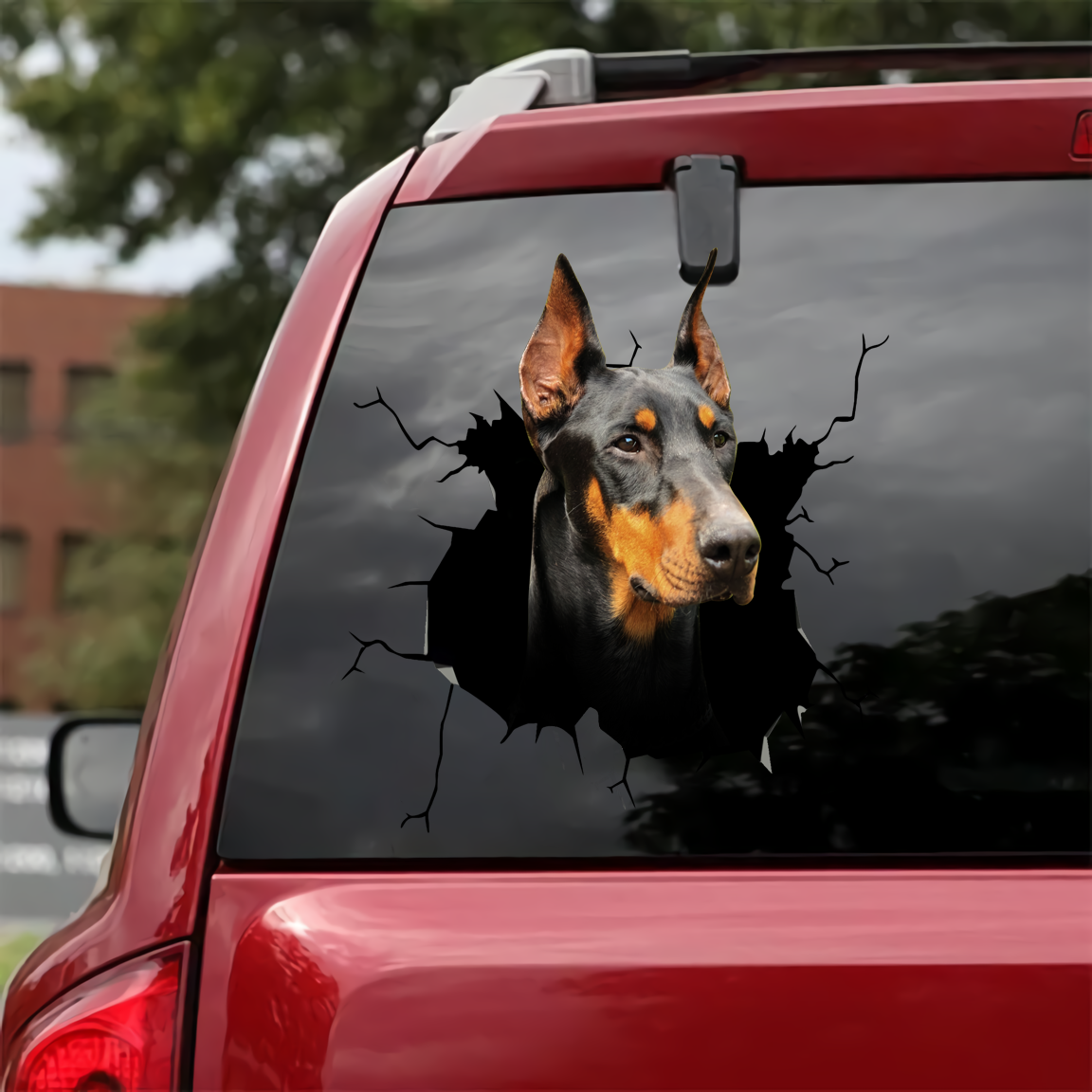 Doberman Carck